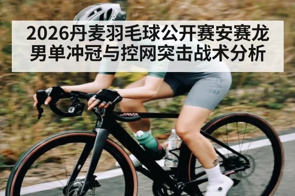 2026丹麦羽毛球公开赛安赛龙男单冲冠与控网突击战术分析